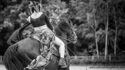 Clair de Lune Photographie | Equestrian art > Horse photographers