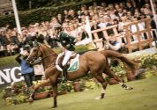 Romanov - KWPN Cavallo da Sport Neerlandese 1998 ,  HEARTBREAKER