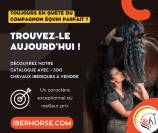 Stage paarden ethologie Haute-Savoie