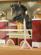 Zodjan J - KWPN Nederlands sportpaard 2004 ,  NEGRO