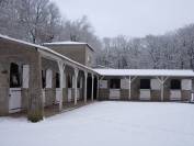 Pension de chevaux à Montceau-les-mines