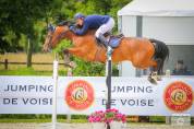 Excellent cheval très concours