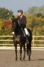 SOLD 2020 4yo Gelding- Serious competition prospect