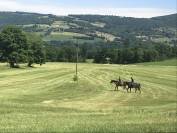 Écuries de propriétaires à Bassy haute savoie