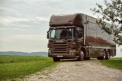 Camión para caballos Scania SCANIA 0 De segunda mano