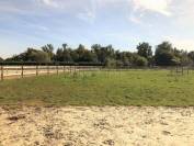 Centro di stagione cavallo In vendita Seine-et-Marne