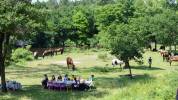 Escursione equestre comfort Landes