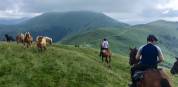 Escursione equestre comfort Landes