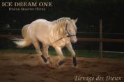 ICE DREAM ONE  - Quarter Horse 2011 por MR TUFFEASY SMOKE