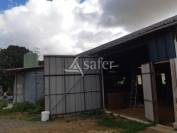 Explotación agrícola En venta Sarthe