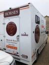 Horsebox HGV Trans Box SVELTO 3R 2024 New