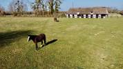 Centro di stagione cavallo In vendita Calvados