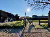 Centro di stagione cavallo In vendita Calvados