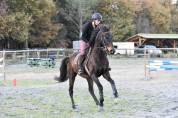 ATE (Accompagnatore Turismo Equestre) - Non salariato Altro - Landes Francia
