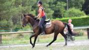 ATE (Accompagnatore Turismo Equestre) - Non salariato Altro - Landes Francia