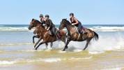 Equestrian tourism - Self employed Other - Landes France