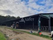 Explotación avícola En venta Sarthe