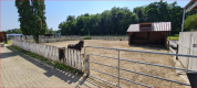 Centre Equestre dans le Nord de l'Alsace-Prox HAGUENAU
