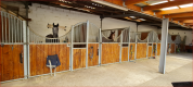 Centre Equestre dans le Nord de l'Alsace-Prox HAGUENAU