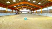 Centro di stagione cavallo In vendita Gard