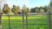 Centro di stagione cavallo In vendita Gard