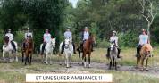 Les Ecuries de Landriole - Pension chevaux (33)