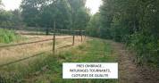 Les Ecuries de Landriole - Pension chevaux (33)