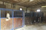Azienda equestre In vendita Seine-et-Marne