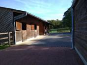 Centro di stagione cavallo In vendita Nièvre