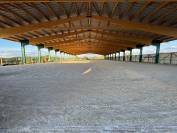 Pension de chevaux/ enseignement