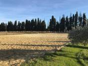 Exceptionnel - Domaine équestre de 25 hectares en Provence