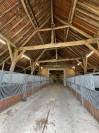 Stud farm  Allier
