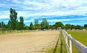 Luxurious equestrian property  Bouches-du-Rhône