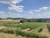 Propriété agricole de 45ha avec maison et bâtiments à rénov