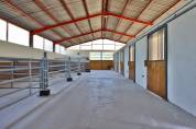 Haras de prestige édifié sur 39ha Bourgogne (71)