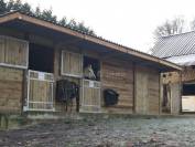 Centro di stagione cavallo In vendita Pyrénées-Atlantiques