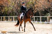 Pension | Valorisation | Enseignement — JLS Horse Sport