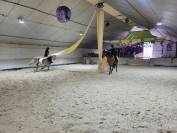 PENSION CHEVAUX PONEYS 
