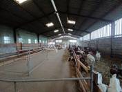Other agricultural property  Charente