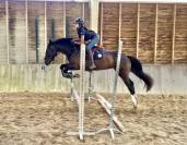 Top jument CSO/CCE