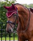 Bridon cheval 