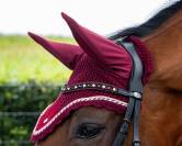 Bridon cheval 