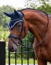 Bridon cheval 
