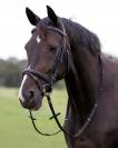 Bridon cheval 