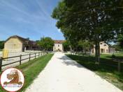 Proprietà equestre In vendita Loiret