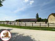 Equestrian property  Loiret