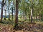 Bos exploitatie Koop Dordogne