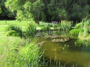 Belle propriété agricole diversifiée sur 44ha avec irrigation