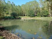 Belle propriété agricole diversifiée sur 44ha avec irrigation