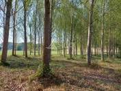 Belle propriété agricole diversifiée sur 44ha avec irrigation